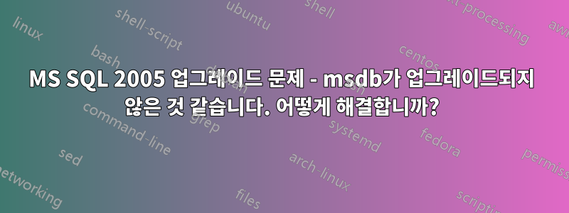 MS SQL 2005 업그레이드 문제 - msdb가 업그레이드되지 않은 것 같습니다. 어떻게 해결합니까?