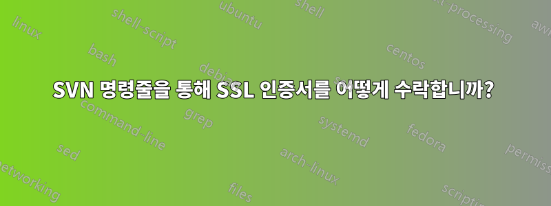 SVN 명령줄을 통해 SSL 인증서를 어떻게 수락합니까?