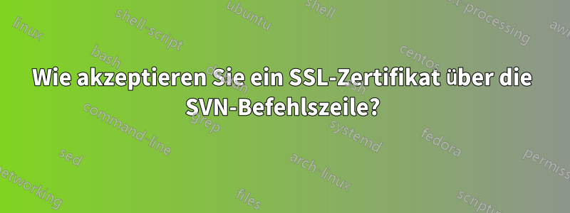 Wie akzeptieren Sie ein SSL-Zertifikat über die SVN-Befehlszeile?