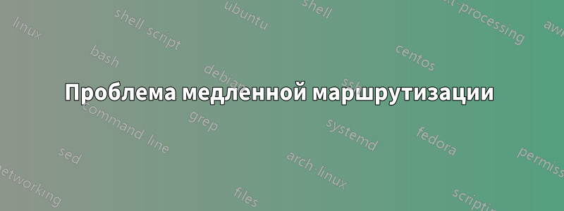 Проблема медленной маршрутизации