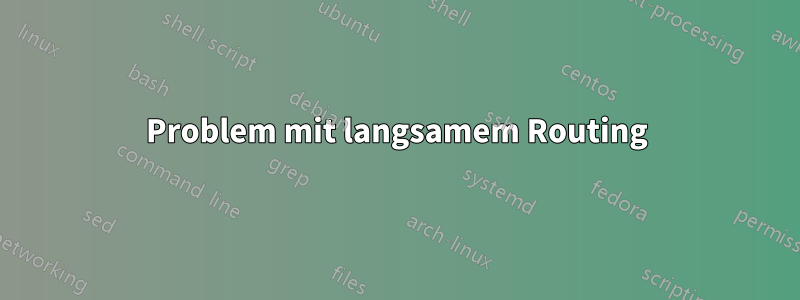 Problem mit langsamem Routing