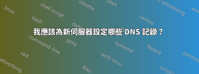 我應該為新伺服器設定哪些 DNS 記錄？