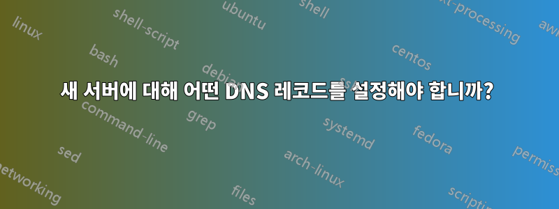 새 서버에 대해 어떤 DNS 레코드를 설정해야 합니까?