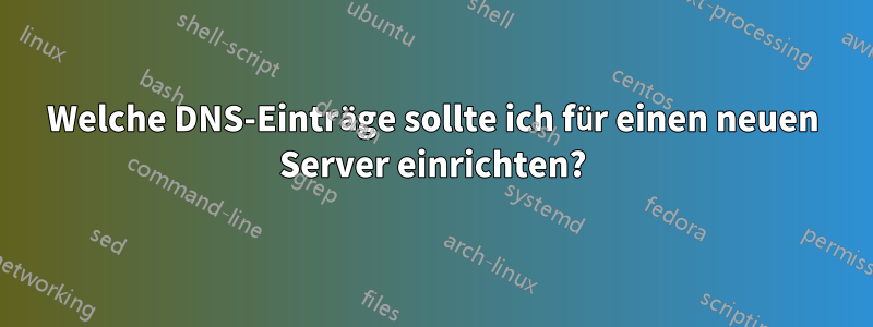 Welche DNS-Einträge sollte ich für einen neuen Server einrichten?