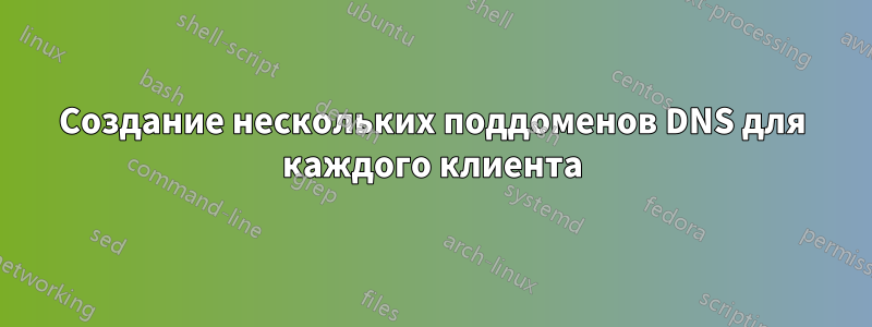 Создание нескольких поддоменов DNS для каждого клиента