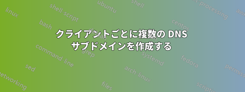 クライアントごとに複数の DNS サブドメインを作成する