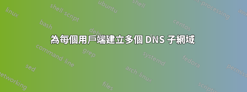 為每個用戶端建立多個 DNS 子網域