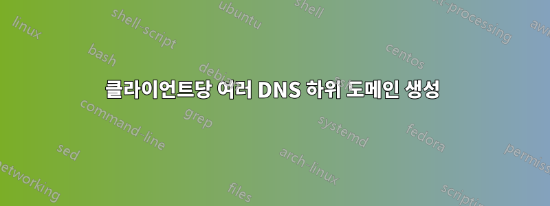 클라이언트당 여러 DNS 하위 도메인 생성