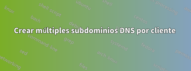 Crear múltiples subdominios DNS por cliente