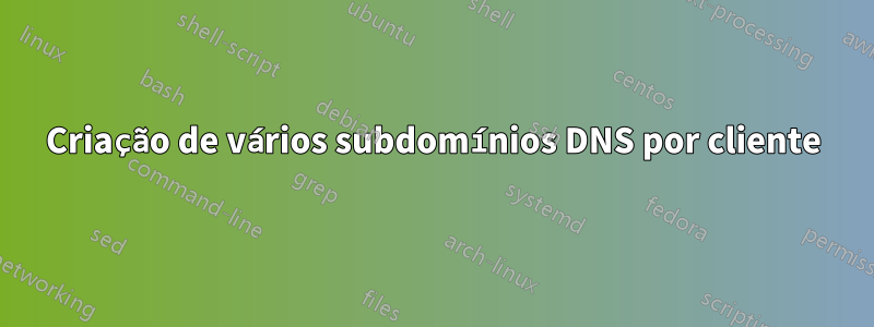 Criação de vários subdomínios DNS por cliente