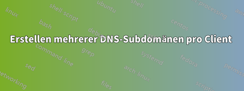 Erstellen mehrerer DNS-Subdomänen pro Client