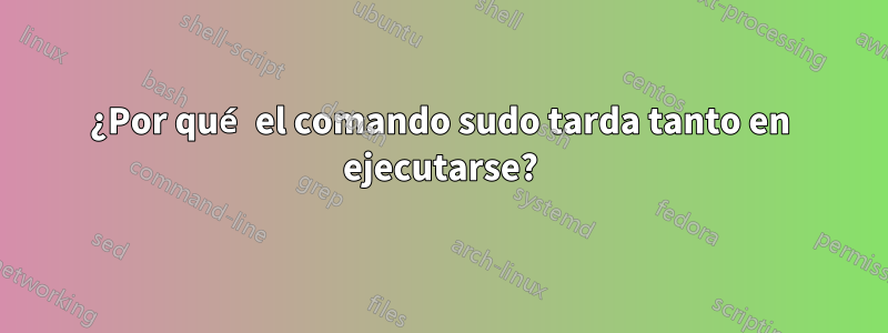 ¿Por qué el comando sudo tarda tanto en ejecutarse?