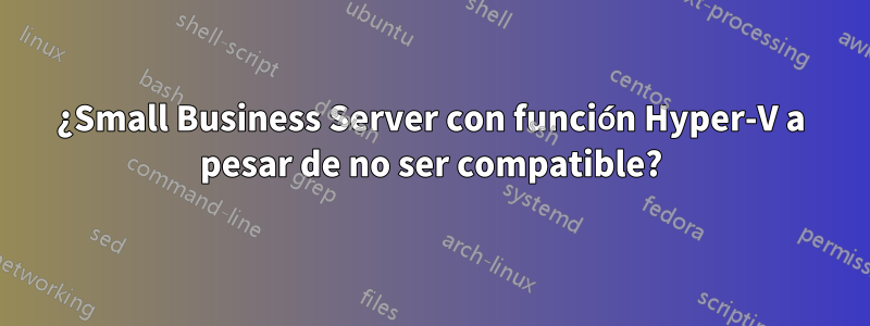 ¿Small Business Server con función Hyper-V a pesar de no ser compatible?