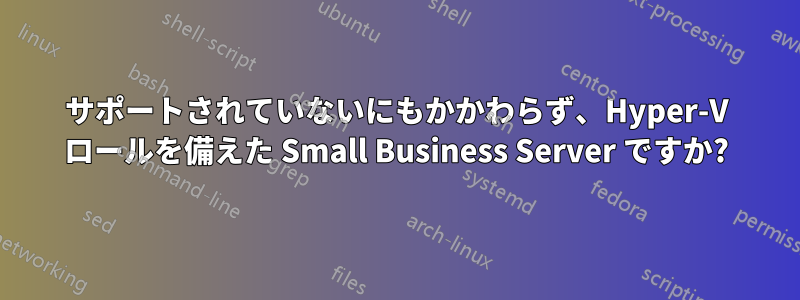 サポートされていないにもかかわらず、Hyper-V ロールを備えた Small Business Server ですか?