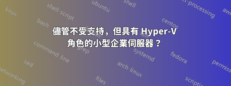 儘管不受支持，但具有 Hyper-V 角色的小型企業伺服器？