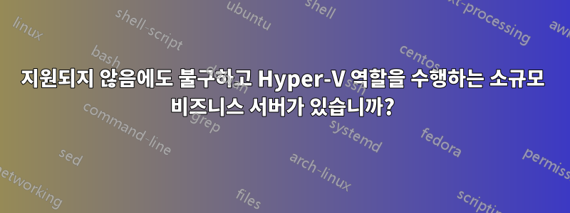 지원되지 않음에도 불구하고 Hyper-V 역할을 수행하는 소규모 비즈니스 서버가 있습니까?