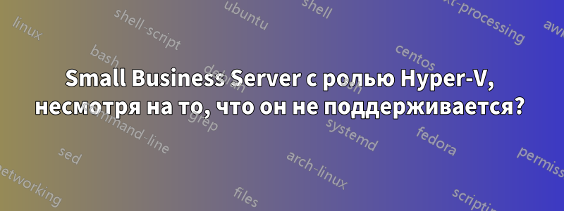 Small Business Server с ролью Hyper-V, несмотря на то, что он не поддерживается?