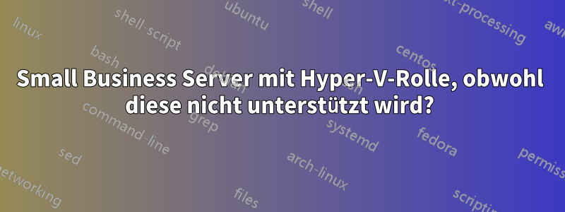 Small Business Server mit Hyper-V-Rolle, obwohl diese nicht unterstützt wird?