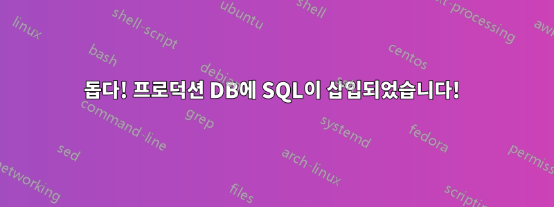 돕다! 프로덕션 DB에 SQL이 삽입되었습니다! 