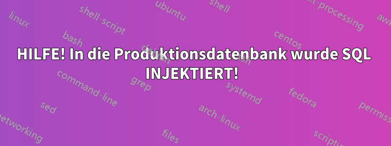 HILFE! In die Produktionsdatenbank wurde SQL INJEKTIERT! 