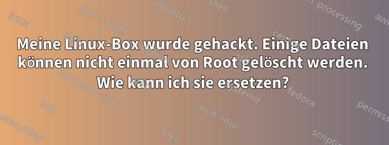 Meine Linux-Box wurde gehackt. Einige Dateien können nicht einmal von Root gelöscht werden. Wie kann ich sie ersetzen?