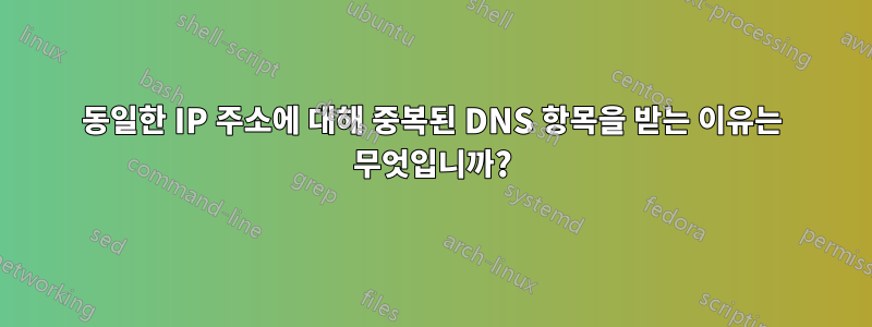 동일한 IP 주소에 대해 중복된 DNS 항목을 받는 이유는 무엇입니까?