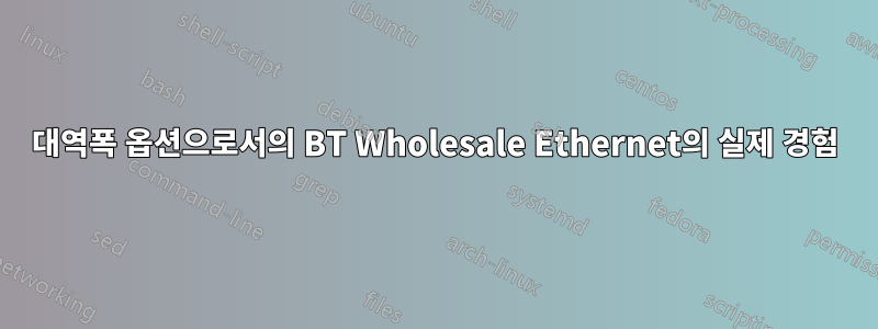 대역폭 옵션으로서의 BT Wholesale Ethernet의 실제 경험