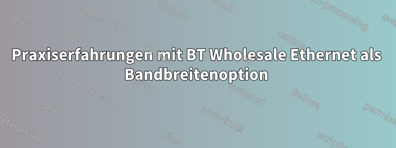 Praxiserfahrungen mit BT Wholesale Ethernet als Bandbreitenoption