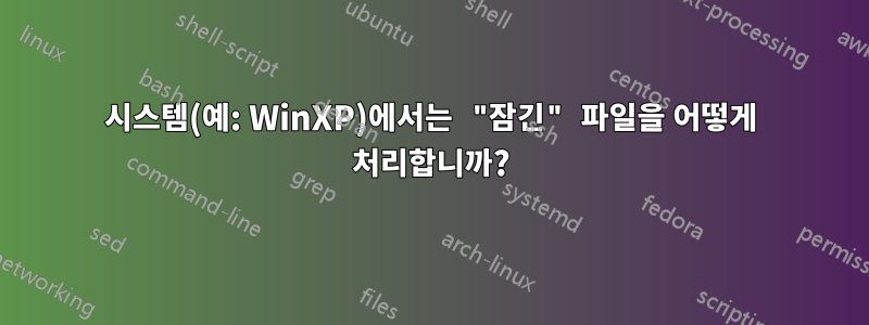 시스템(예: WinXP)에서는 "잠긴" 파일을 어떻게 처리합니까?