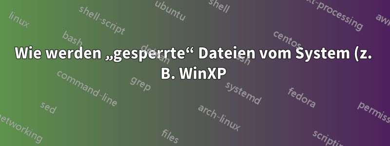 Wie werden „gesperrte“ Dateien vom System (z. B. WinXP) behandelt?