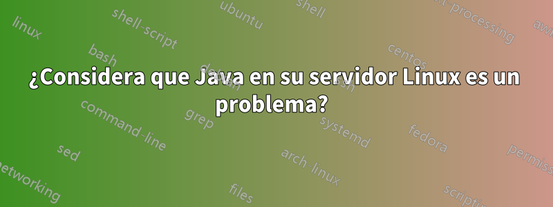 ¿Considera que Java en su servidor Linux es un problema? 