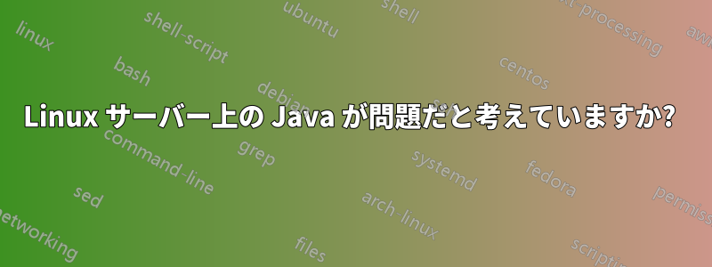 Linux サーバー上の Java が問題だと考えていますか? 