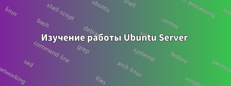 Изучение работы Ubuntu Server