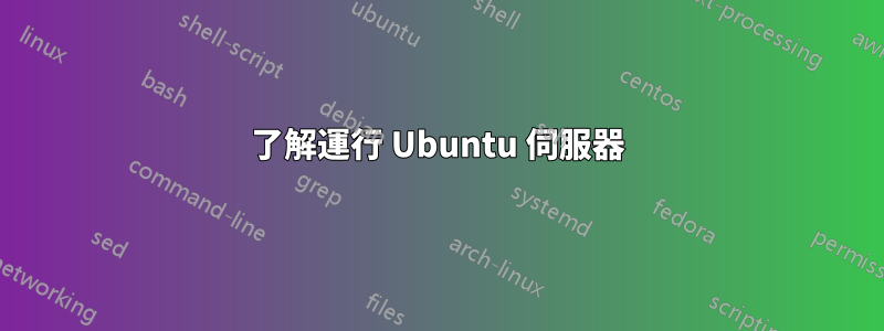 了解運行 Ubuntu 伺服器