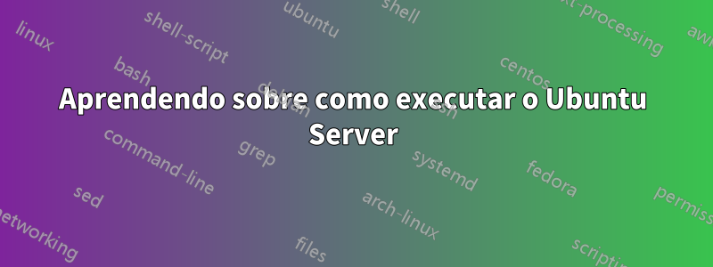 Aprendendo sobre como executar o Ubuntu Server