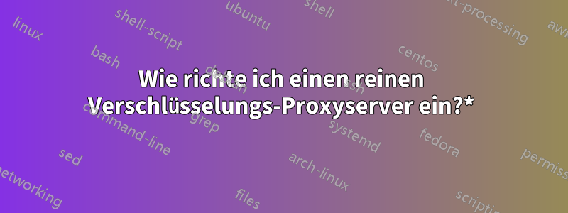 Wie richte ich einen reinen Verschlüsselungs-Proxyserver ein?*