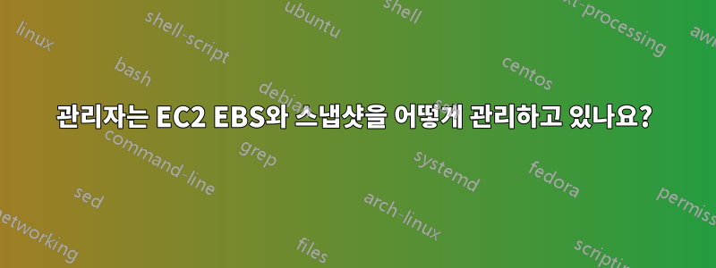 관리자는 EC2 EBS와 스냅샷을 어떻게 관리하고 있나요?