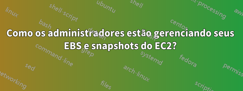 Como os administradores estão gerenciando seus EBS e snapshots do EC2?