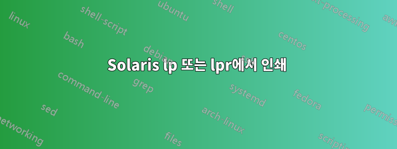 Solaris lp 또는 lpr에서 인쇄