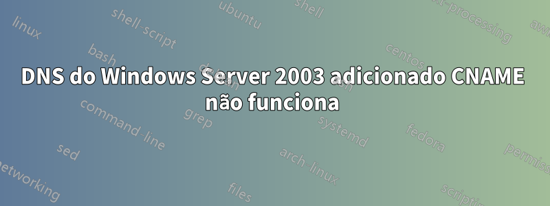 DNS do Windows Server 2003 adicionado CNAME não funciona