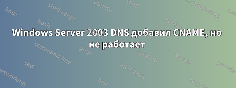 Windows Server 2003 DNS добавил CNAME, но не работает