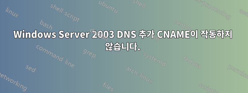 Windows Server 2003 DNS 추가 CNAME이 작동하지 않습니다.