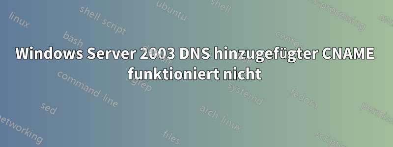 Windows Server 2003 DNS hinzugefügter CNAME funktioniert nicht