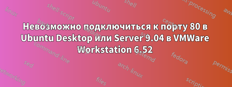 Невозможно подключиться к порту 80 в Ubuntu Desktop или Server 9.04 в VMWare Workstation 6.52