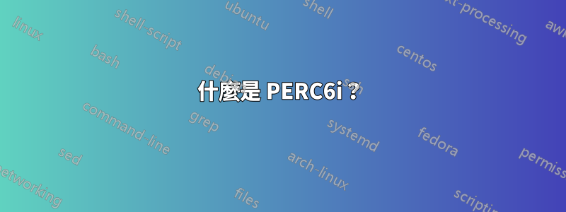 什麼是 PERC6i？