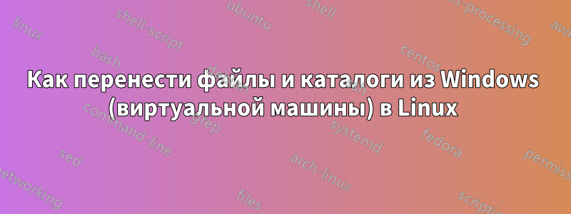 Как перенести файлы и каталоги из Windows (виртуальной машины) в Linux