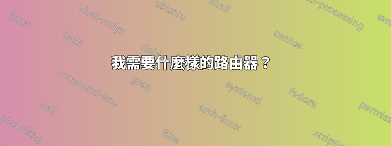 我需要什麼樣的路由器？ 