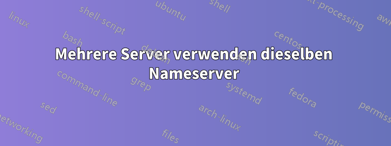 Mehrere Server verwenden dieselben Nameserver