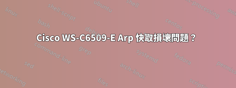 Cisco WS-C6509-E Arp 快取損壞問題？