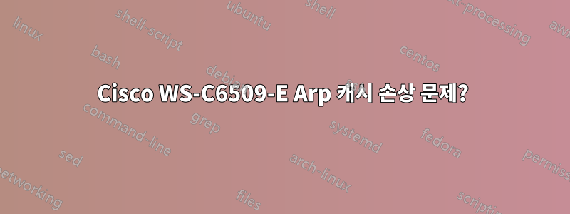 Cisco WS-C6509-E Arp 캐시 손상 문제?